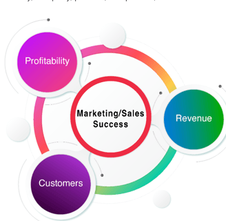 What is Marketing/Sales Success