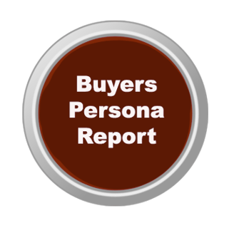 Buyer Persona Report