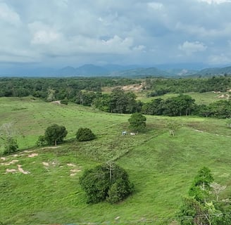 finca ganadera con levantamiento de drone ubicada en Santander colombia