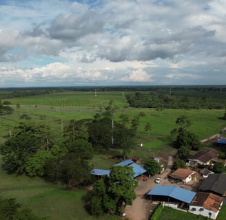 finca de cultivo de palma realizada con drone en Santander Colombia