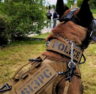 police dog with oenk9 gear