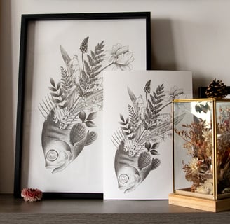 cadres illustrations poisson bouquet