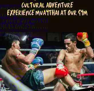 combat fight and training gym camp ticketssamui fight night knockout battle competition championship