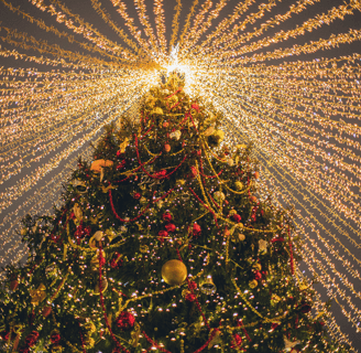a christmas tree with lights and decorations