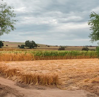 agricultura no semiárido brasileiro