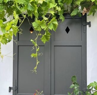 Double volet en bois gris
