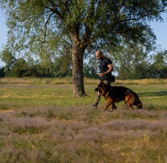 Entspannt durch den Park mit Hund