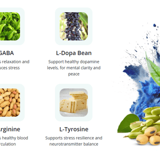 NeuroQuiet Natural Ingredients