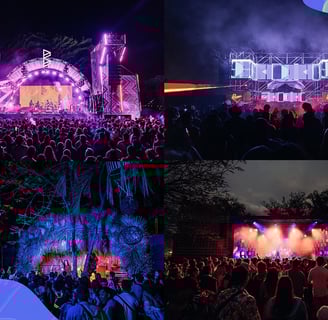 Collage de momentos icónicos en Bahidorá, incluyendo artistas en el escenario, instalaciones de arte