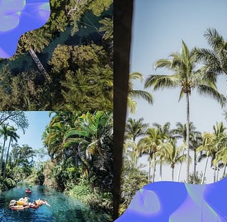 Atardecer en Las Estacas, con asistentes disfrutando del río rodeados de árboles milenarios y natura