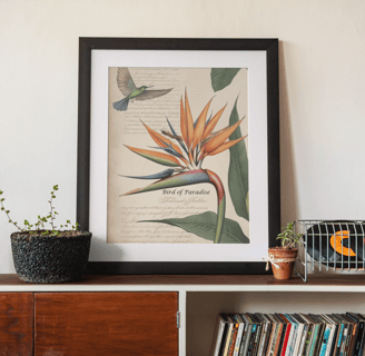 bird of paradise framed