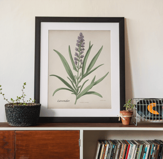 Lavender botanical print framed