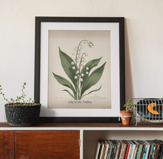 Lily of the Valley botanical print framed