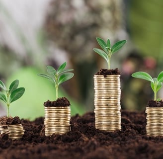 Grow your money