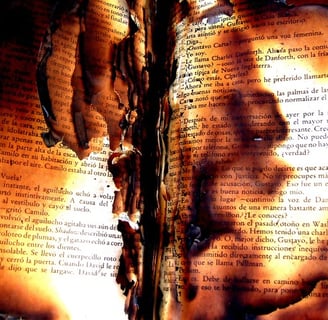 The Burning Book Author AW Mouton