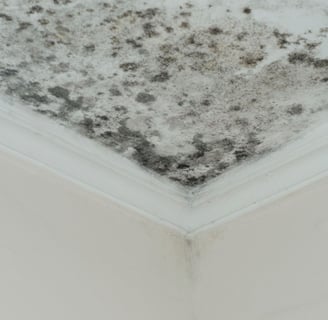 mold on the ceiling