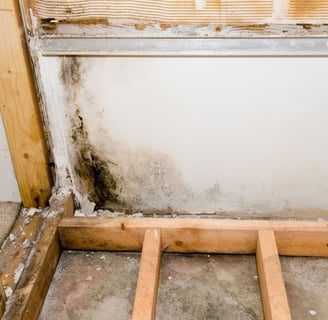 structural damage from mold and moisture