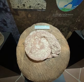 Fósil Santa Rita