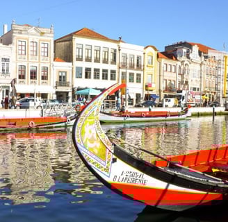 aveiro-barcos-moliceiros-rossa
