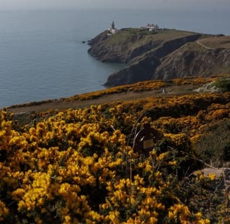 hothw-irlanda-faro
