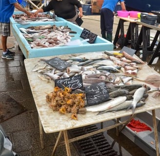 marsiglia-vieux-port-pesce-fresco
