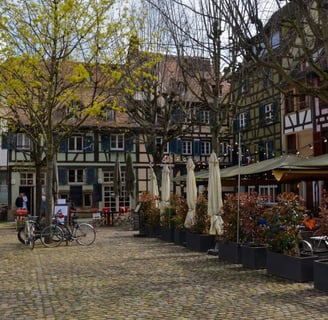 strasburgo-place-du-marche-gayot
