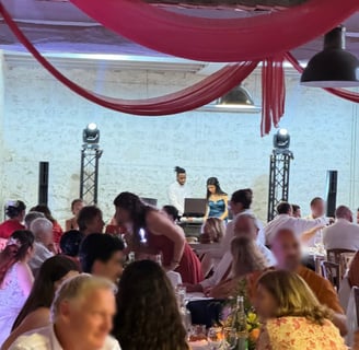 photo dj novation event en pleine action mariage éclairage sono