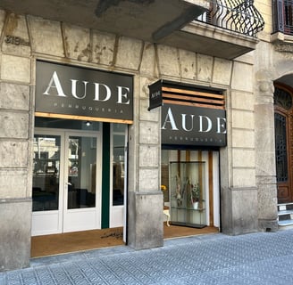 aude perruqueria corte de pelo