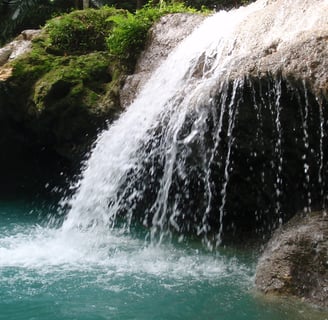 A beautiful secret waterfall discovered by one of our clients while hiking in the Jamaican jungle