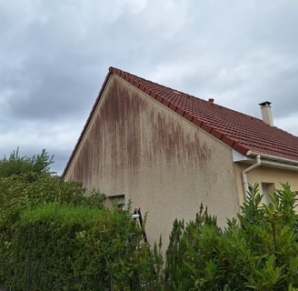 traitement pignon