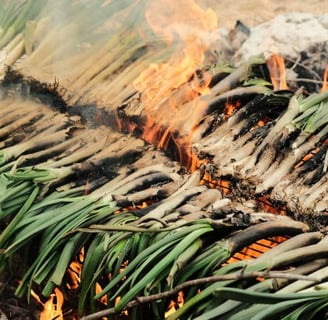 calçotada