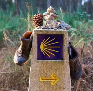 Camino de Santiago