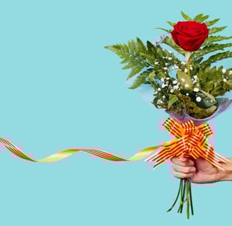 día de sant jordi