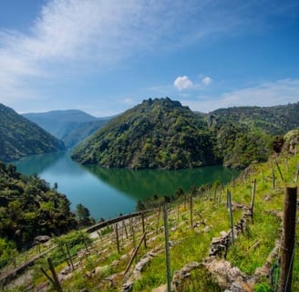 La Ribeira Sacra
