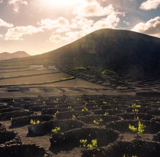 lanzarote