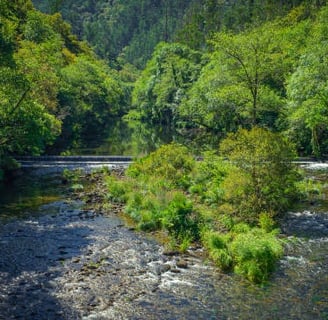 Parque Natural Fragas do Eume