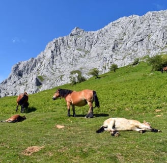 parque natural urkiola
