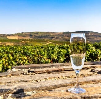 Ruta del Cava en Sant Sadurní