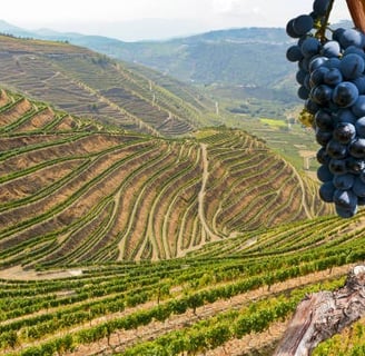 ruta del duero