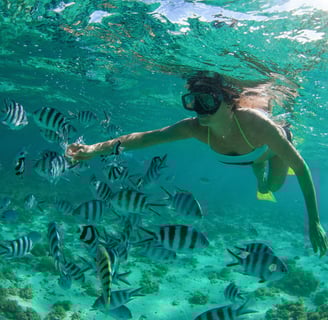 Snorkel en El Hierro