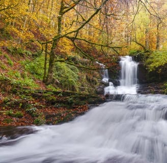 Turismo Rural en Navarra