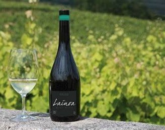 txakoli
