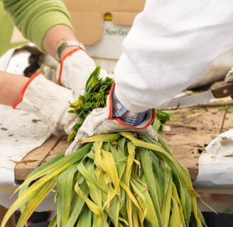Opciones veganas en La Rioja