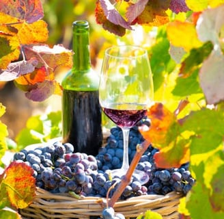 Vino de Rioja