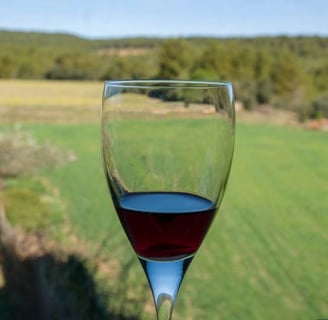 vinos de Aragón