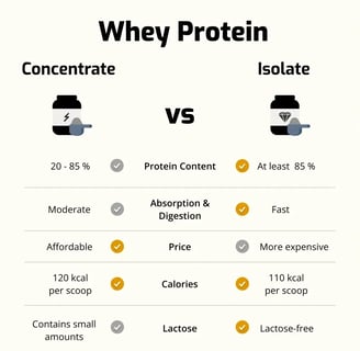 Whey Concentrate vs Isolate: What’s Best?