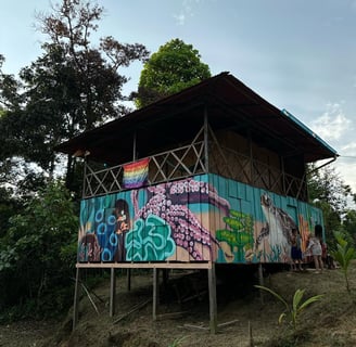 Murales de la Casa de la Tortuga, en Playa La Barra, Pacifico Colombiano