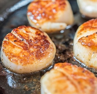 pan seared scallops 