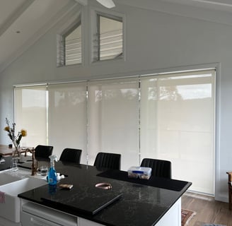 Screen Roller Blinds Options