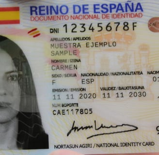 Familiares de españoles